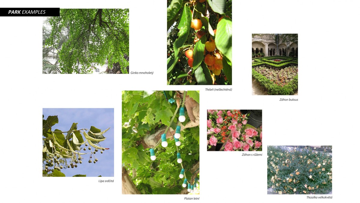 https://www.czechdevelop.cz/files/gimgs/120_p1examples1920x10801200675.jpg