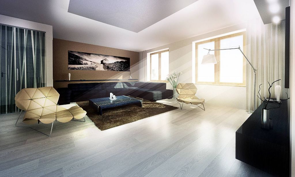 https://www.czechdevelop.cz/files/gimgs/160_hnede168010081024614.jpg